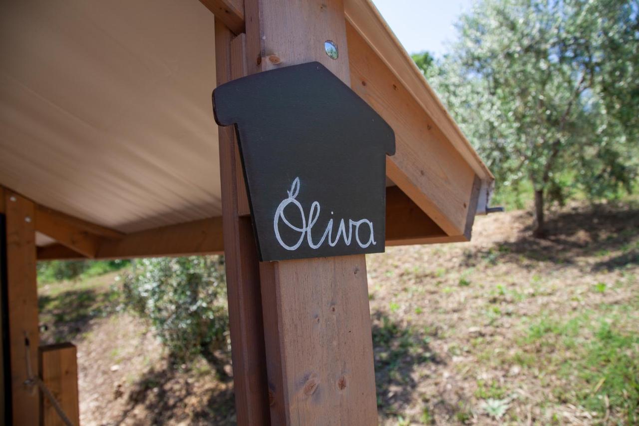 Agriturismo Podere Prataccio Grosseto Exteriör bild