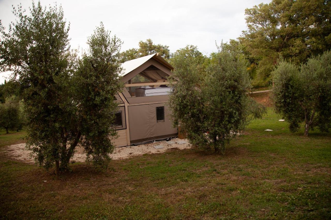 Agriturismo Podere Prataccio Grosseto Exteriör bild